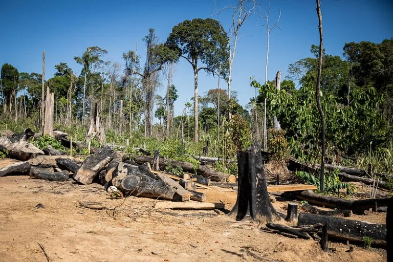 Cancelado debate sobre violência contra profissionais da comunicação na região amazônica - Notícias